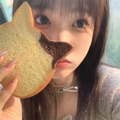 双生赤狐