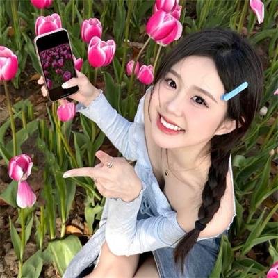 绵羊侦探团