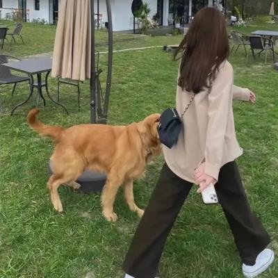 慈禧秘密生活